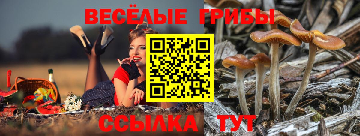 Галлюциногенные грибы мицелий Владимир