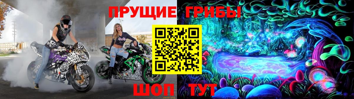 Галлюциногенные грибы мицелий  Вход с VPN  Псилоцибиновые грибы Psilocybine cubensis  Владимир 